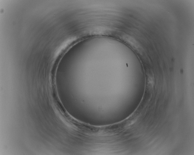 X0000076380678200610202040