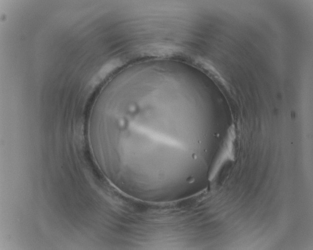 X0000076380679200610202040