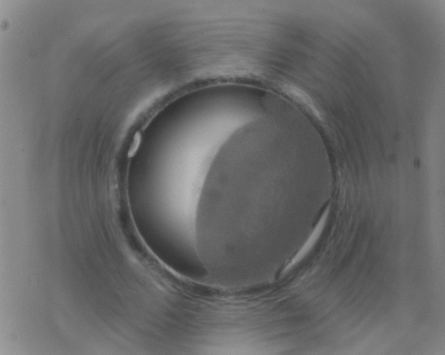 X0000076380680200610202040