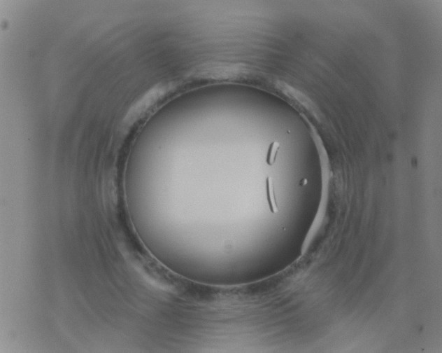 X0000076380682200610202040