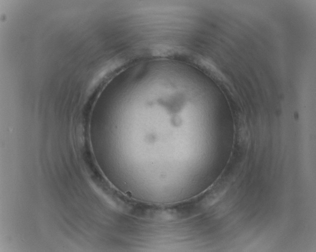 X0000076380683200610202040