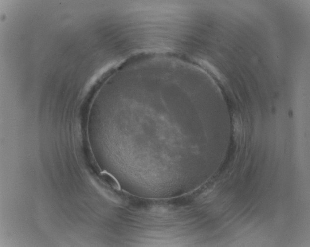 X0000076380684200610202040