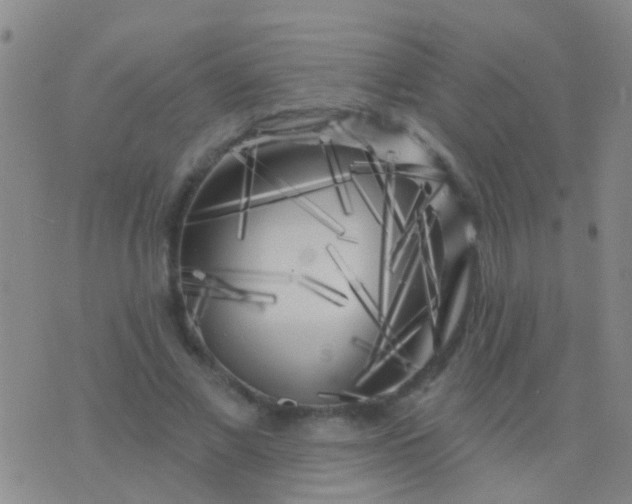 X0000076380685200610202040