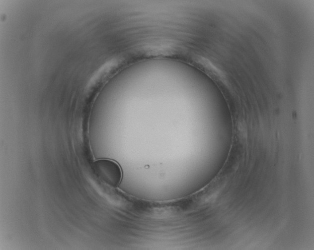 X0000076380686200610202040