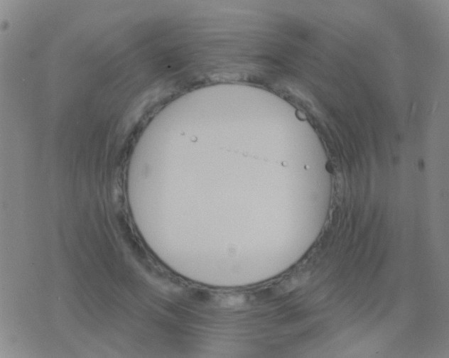 X0000076380687200610202040