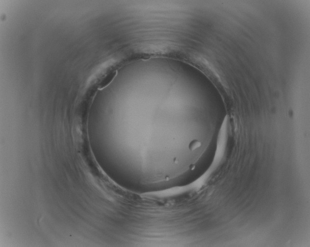 X0000076380688200610202040