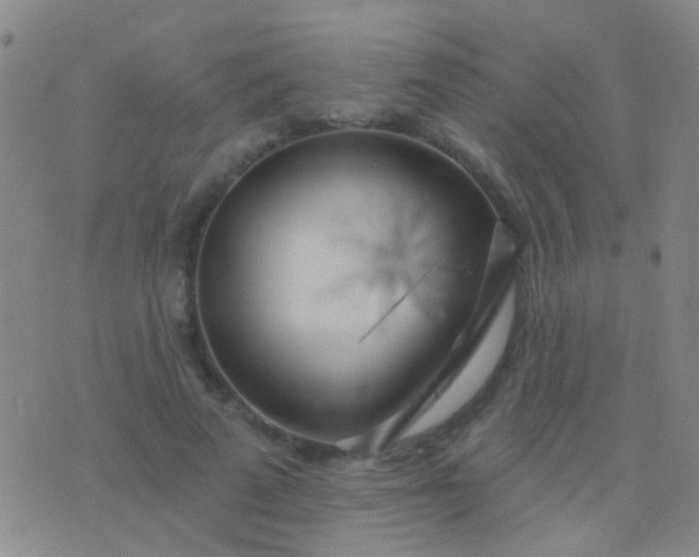 X0000076380689200610202040