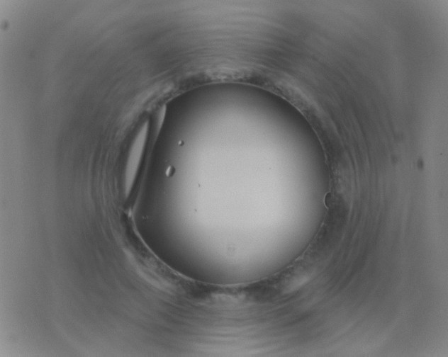 X0000076380690200610202040