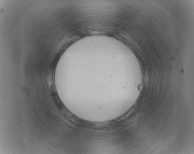 X0000076380691200610202040