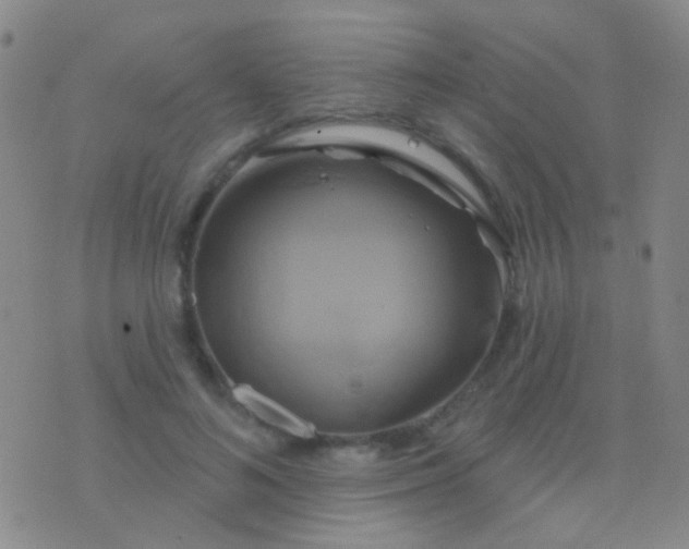 X0000076380692200610202040