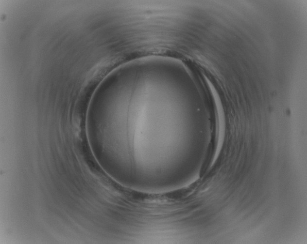 X0000076380693200610202040