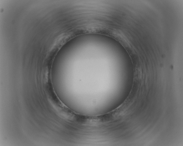 X0000076380694200610202040