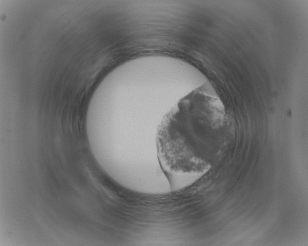 X0000076380695200610202040