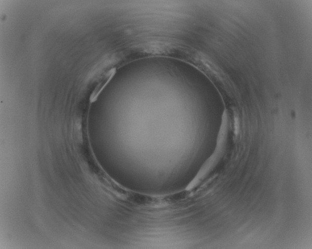 X0000076380696200610202039