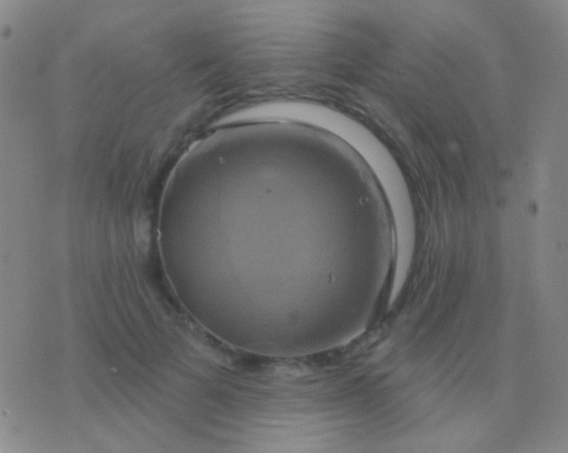 X0000076380697200610202039