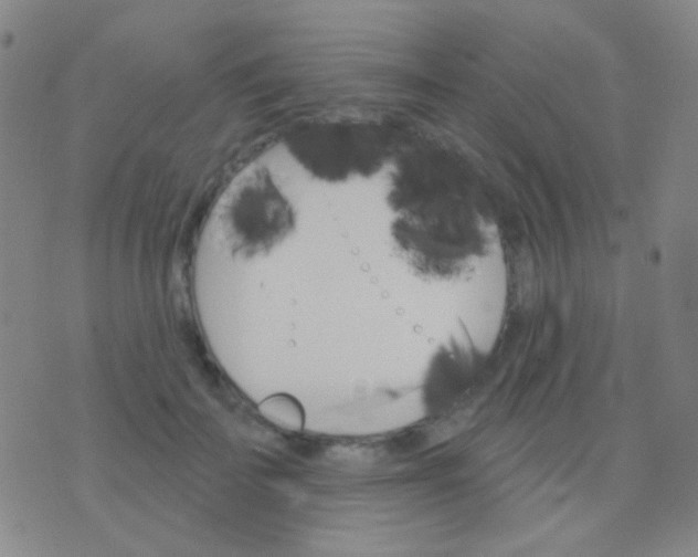 X0000076380699200610202039