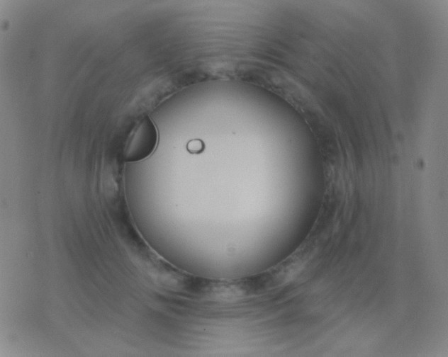 X0000076380702200610202039