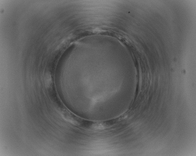 X0000076380704200610202039