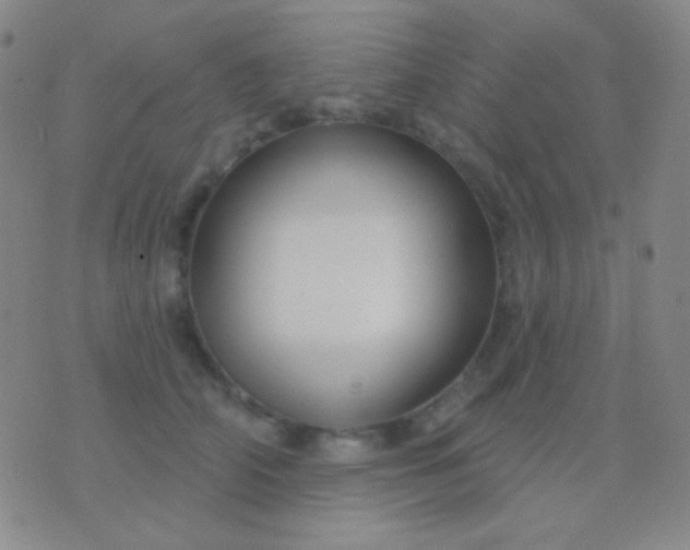 X0000076380706200610202039