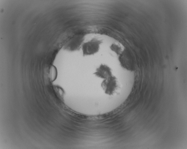 X0000076380707200610202039