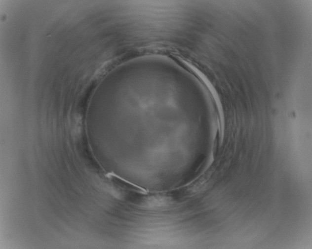 X0000076380708200610202039