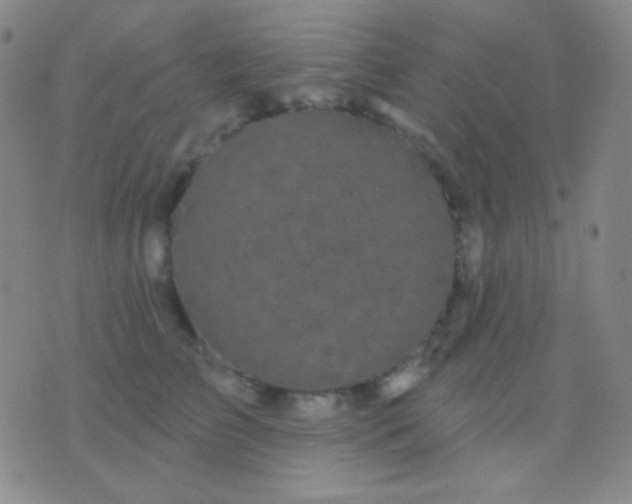 X0000076380709200610202039