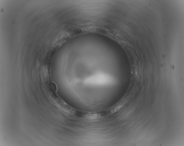 X0000076380711200610202039