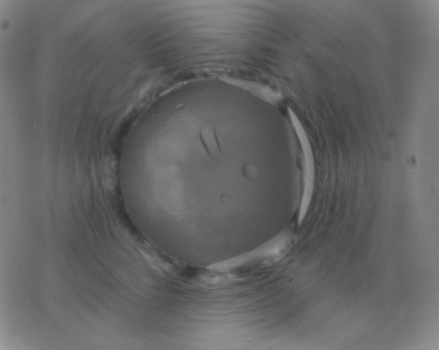 X0000076380712200610202039