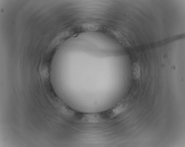 X0000076380713200610202039