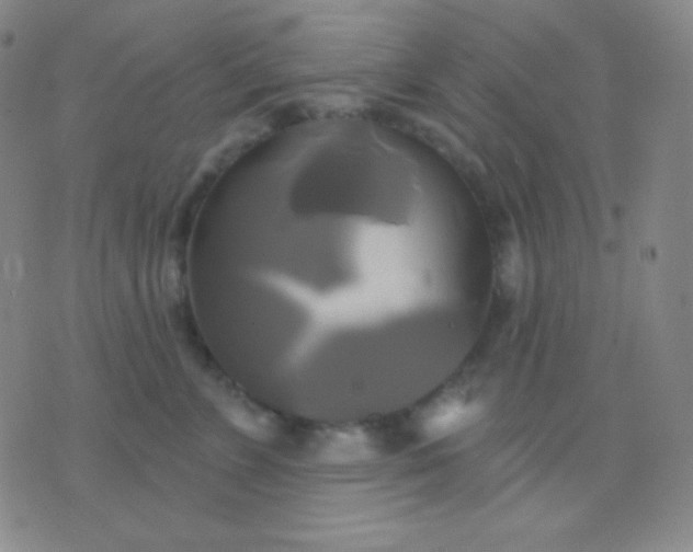 X0000076380715200610202039