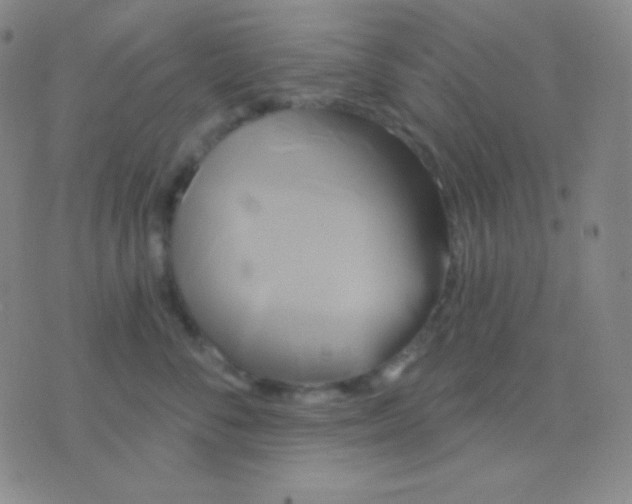 X0000076380716200610202039