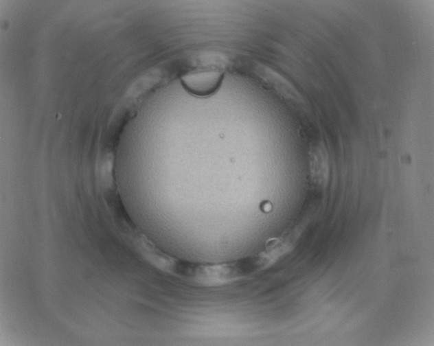 X0000076380717200610202039