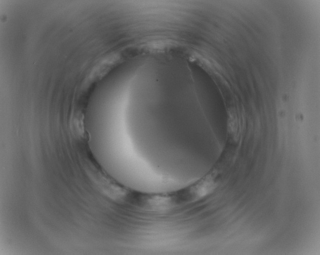 X0000076380718200610202039