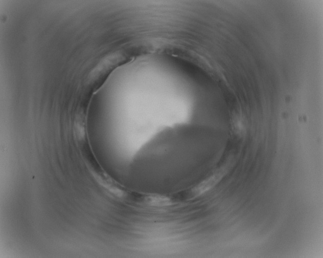 X0000076380719200610202039