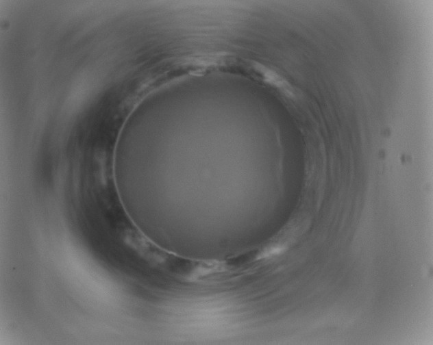 X0000076380720200610202039