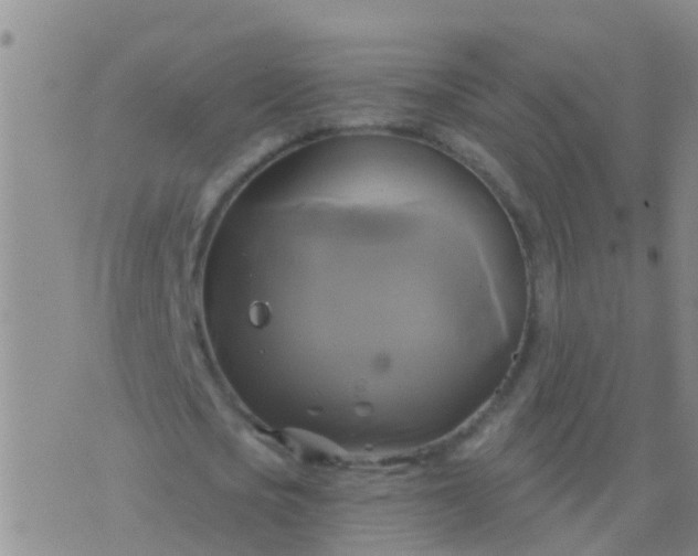 X0000076380721200610202038