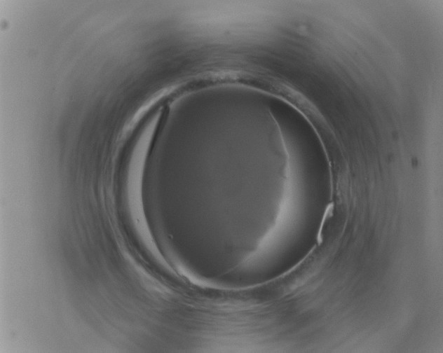 X0000076380722200610202038