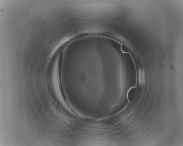 X0000076380723200610202038