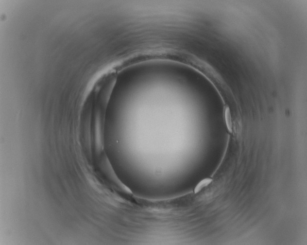 X0000076380724200610202038