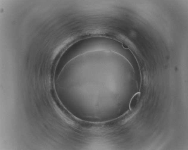 X0000076380725200610202038