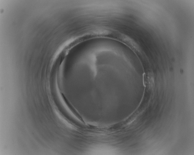 X0000076380726200610202038