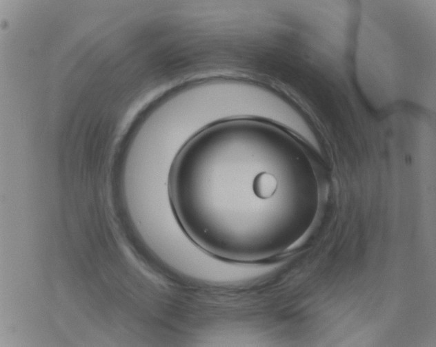 X0000076380728200610202038