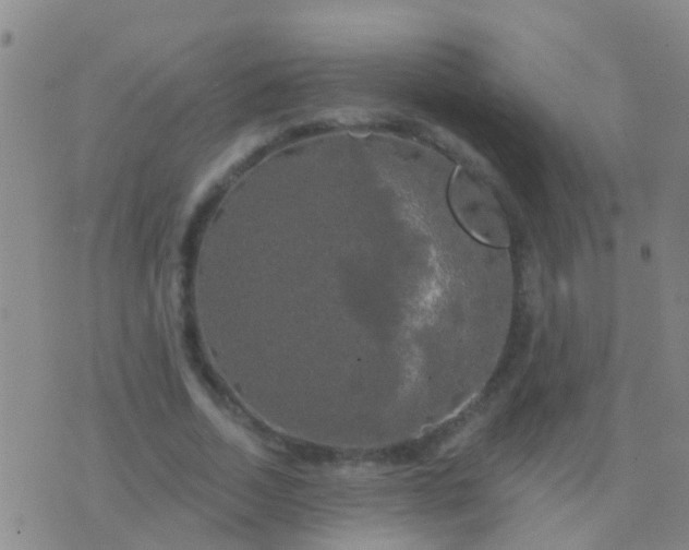 X0000076380730200610202038