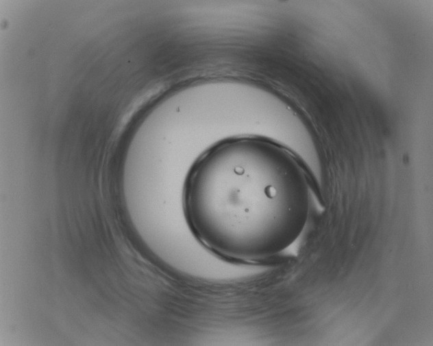 X0000076380731200610202038