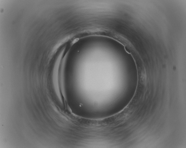 X0000076380732200610202038