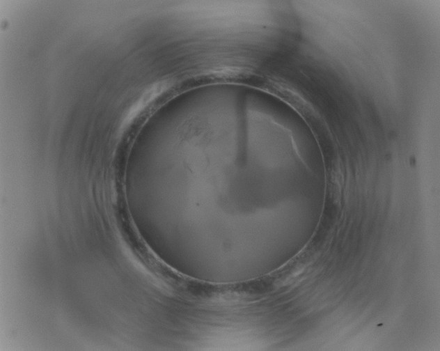 X0000076380734200610202039