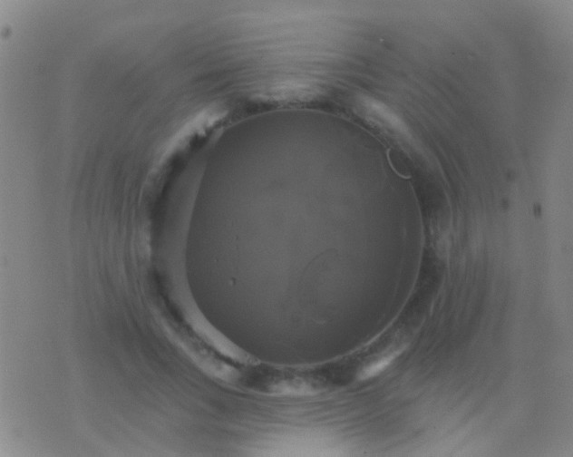 X0000076380735200610202039