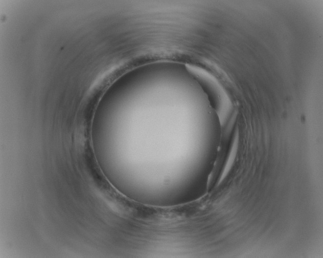 X0000076380736200610202039