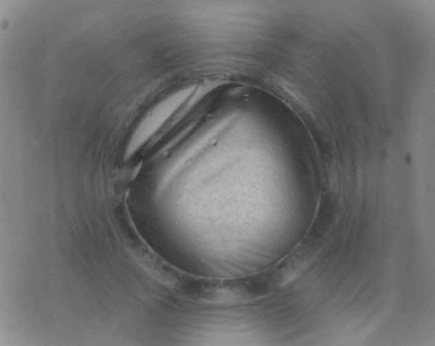 X0000076380737200610202039