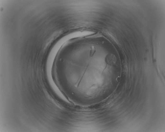 X0000076380738200610202039